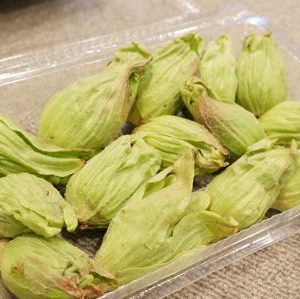 カメラ練習中