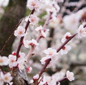 夫婦でのんびりとした休日を・・・