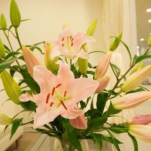 ゆりの花に囲まれて・・・