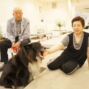 ナナの大あくび