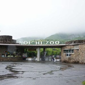 『のいちdeZoo婚』情報part②