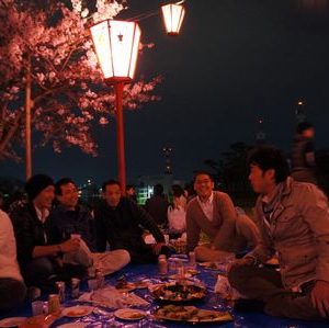 夜桜に魅せられて・・・