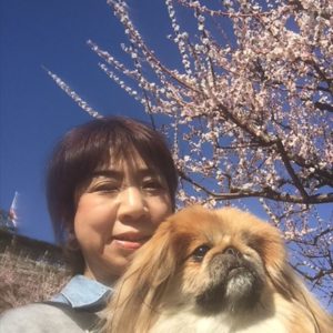 満開の梅