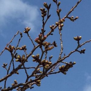どのタイミングで結婚相手を選ぶ？