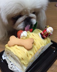 メリークリスマス☆彡