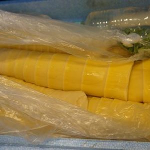 りえちゃん、伊東さん、ありがとうございます！