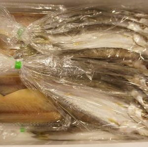 干物がいっぱい！！