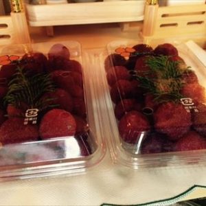 父の大好きなヤマモモ